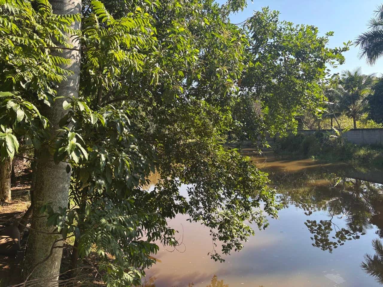 Terreno Murado | 3 Min da Rota da Ferradura – Guarapari