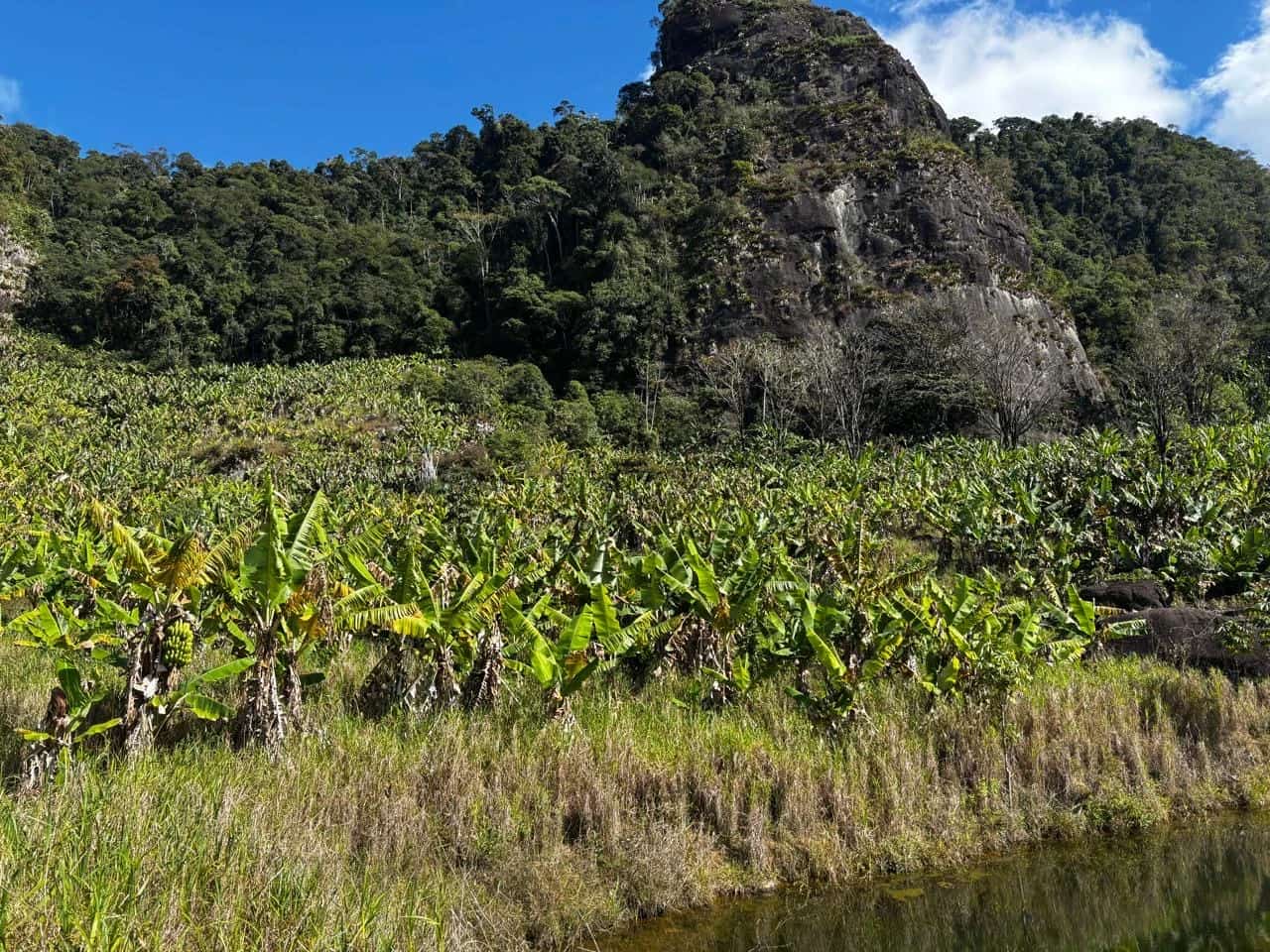 Excelente Fazenda em Biriricas, Domingos Martins | 5 Equitares, Muita Água e Natureza