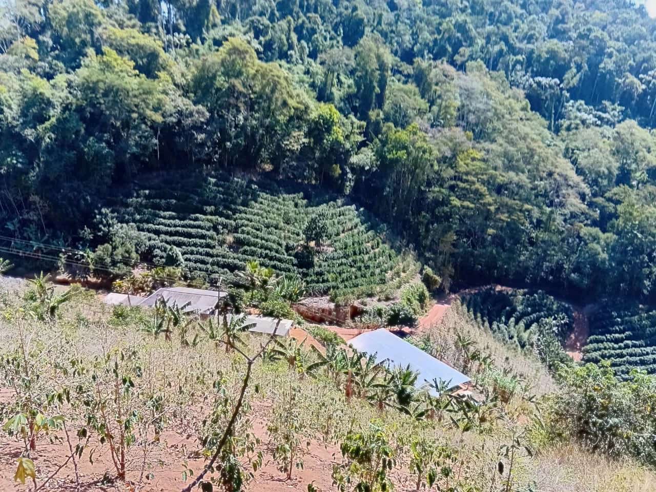 Paraju, Domingos Martins – Próximo ao Novo Alambique da Cachaça Chapelão